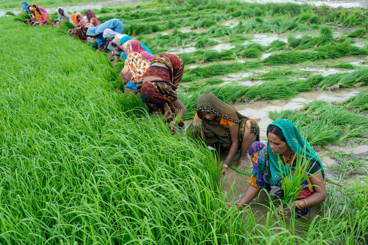 modern farming techniques in india