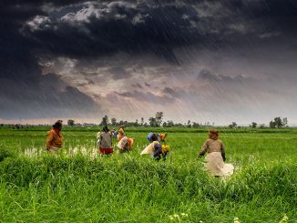 1_agriculture_and_rural_farms_of_india