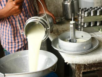 0-98328200_1508333683_milk-production
