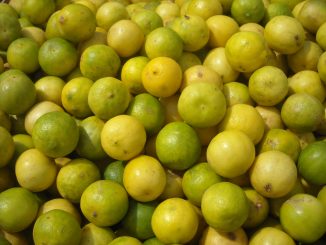 limes_horticulture_agriculture_product_of_india