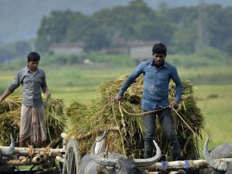 thousands-of-indian-farmers-threaten-suicide-1439571005