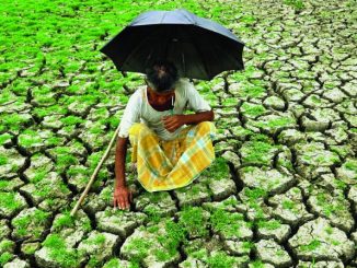 The concerns of the Indian agrarian sector