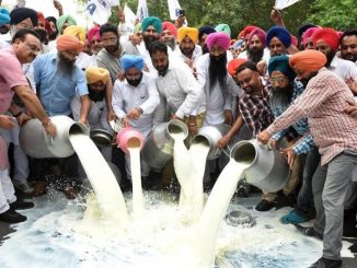 Activists of the Progressive Dairy Farmers Association spill milk on road against the declining milk purchase prices at Parliament street in New Delhi on July 31, 2018. A slump in global prices of skimmed milk powder has hit India’s exports, resulting in a surplus domestic stockpile, especially in the liquid milk sector. (Mohd Zakir/HT File Photo )