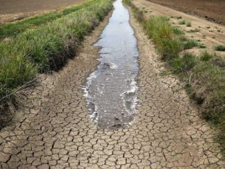 Using agriculture to tackle the water crisis