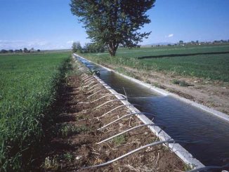 irrigation1