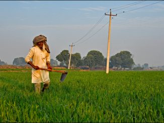 5G tech for smart agriculture in India